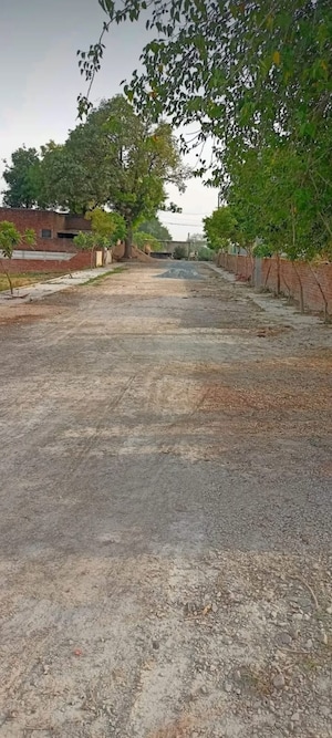 Plot Area in  Plot at Ashapur – for Sale