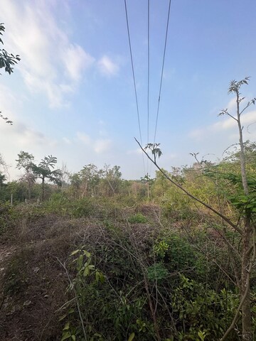 Plot Area in  Plot at Aldona – for Sale
