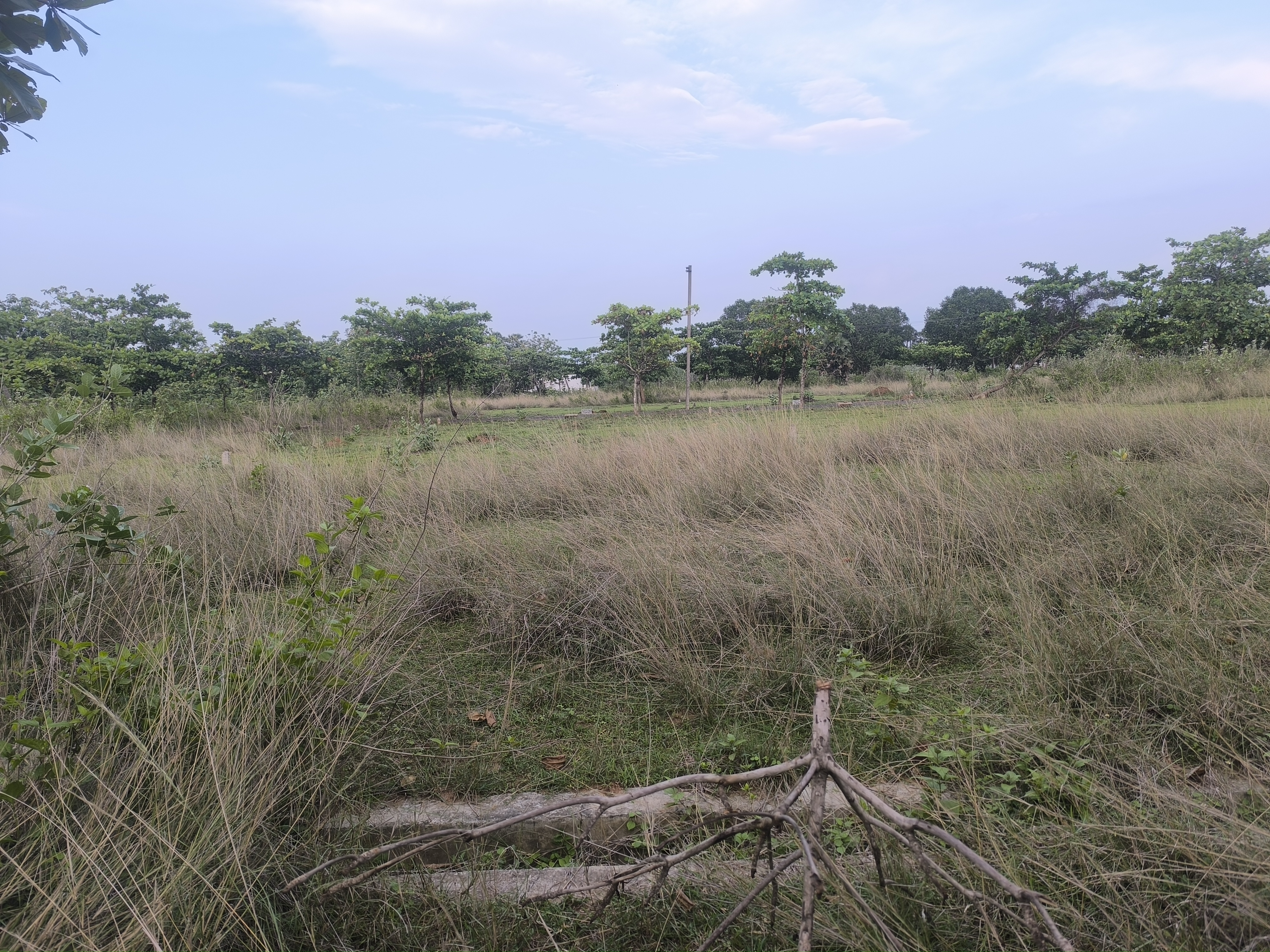 Plot For Sale in Dtcp Plots Akkivaram