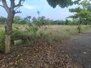 Plot Area in  Plot at Akkivaram – for Sale