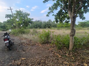 Plot Area in  Plot at Akkivaram – for Sale