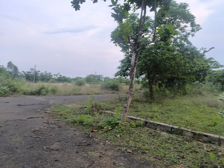 undefined, akkivaram  193 Sq.Yd. Plot In Akkivaram Vizag 8816773