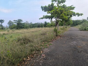 Plot Area in  Plot at Akkivaram – for Sale