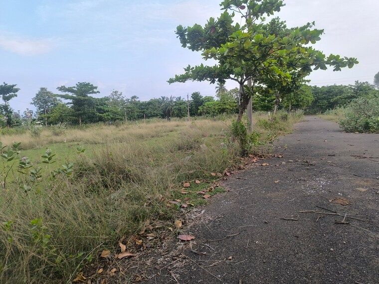 undefined, akkivaram  193 Sq.Yd. Plot In Akkivaram Vizag 8816773