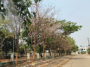 Plot Area in  Plot at Boriyakhurd – for Sale