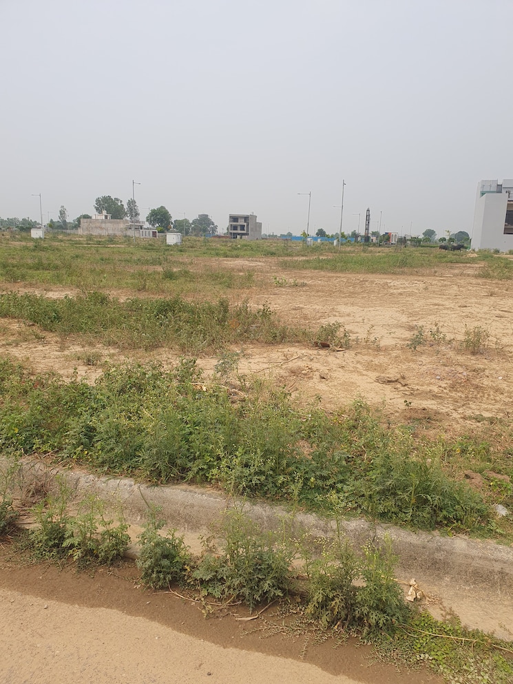 Garden, wave-city  400 Sq.Yd. Plot In Wave City Ghaziabad 8816923