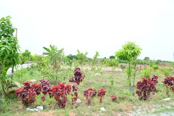  Plot – Exterior View View at Kamandoddi - for Sale