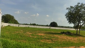 Plot Area in  Plot at Moinabad – for Sale