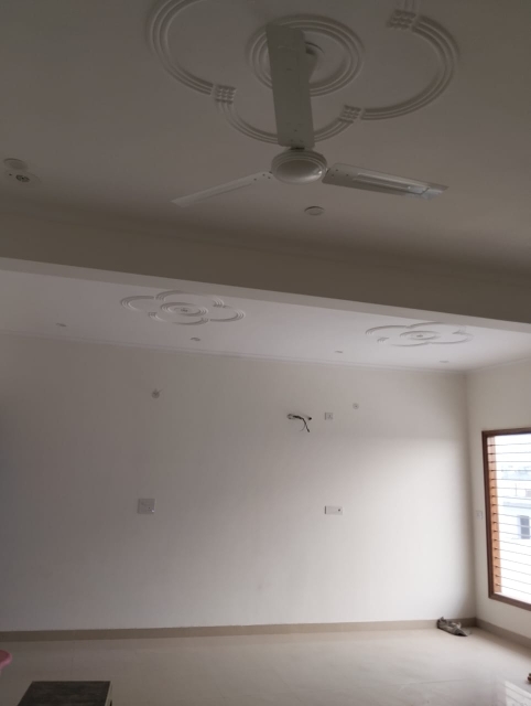 2 BHK Builder Floor For Rent in Builder Floor In Q Block 