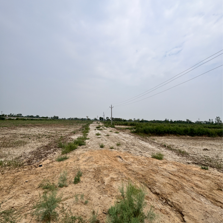 undefined, ajhai khurd  100 Sq.Yd. Plot In Ajhai Khurd Vrindavan 8817597