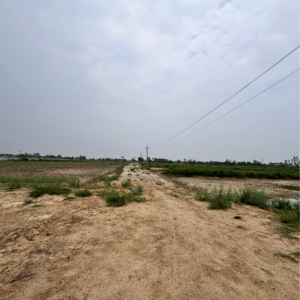  Plot For Sale in Ajhai Khurd