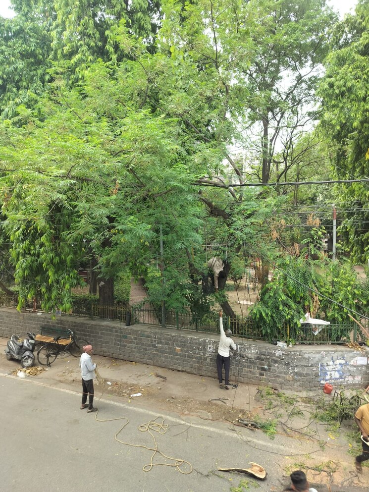 Master Bedroom, dayanand colony 2 Bedroom 900 Sq.Ft. Builder Floor In Dayanand Colony Delhi 8817807