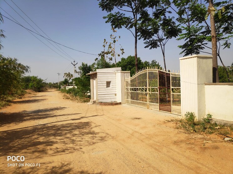 Exterior View, shabad  151 Sq.Yd. Plot In Shabad Hyderabad 8817708