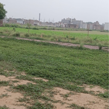  Plot For Sale in Sector 56