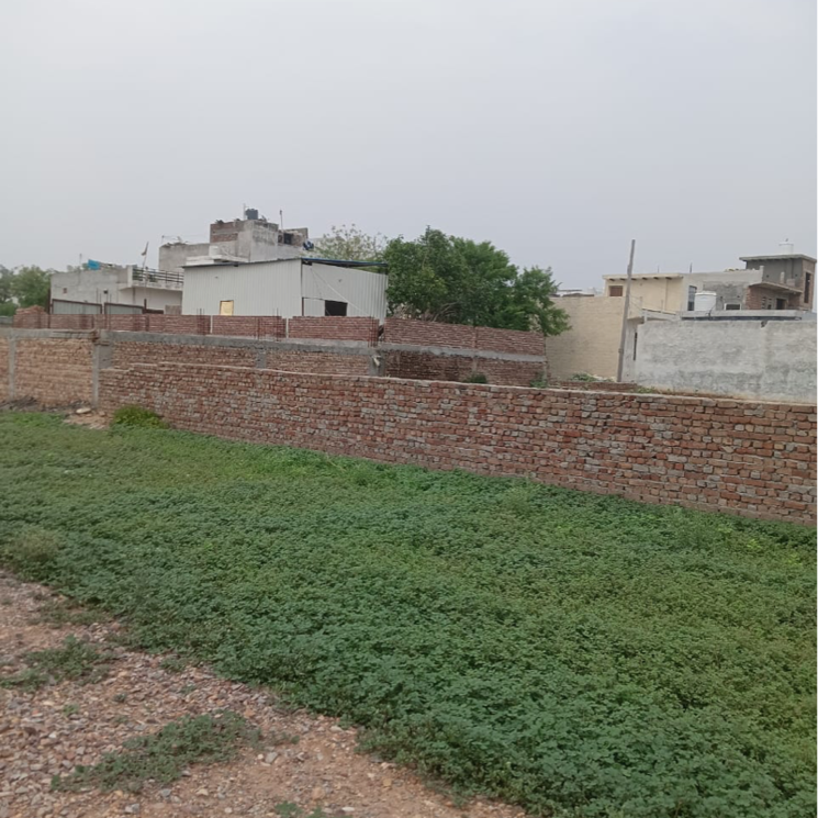 undefined, sector 56  120 Sq.Yd. Plot In Sector 56 Faridabad 8817824