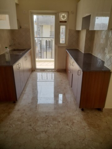 Living Room in 3 BHK Apartment at Amrapali Golf Homes, Sector 4 Greater Noida – for Rent