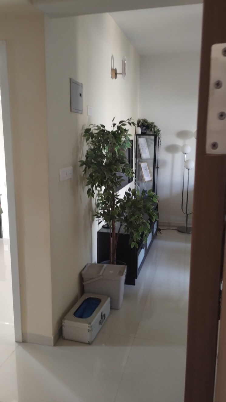 undefined, kadubeesanahalli 1 Bedroom 813 Sq.Ft. Apartment In Kadubeesanahalli Bangalore 8817790