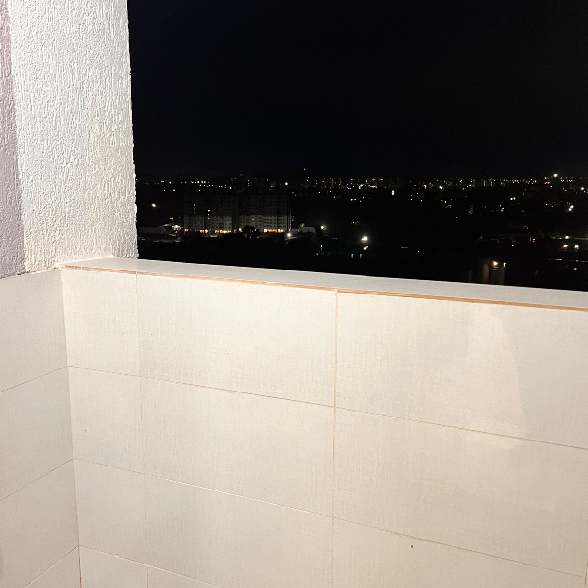 1 BHK + Pooja Room,Servant Room,Study Room,Extra Room Apartment For Rent in Kolte Patil Life Republic