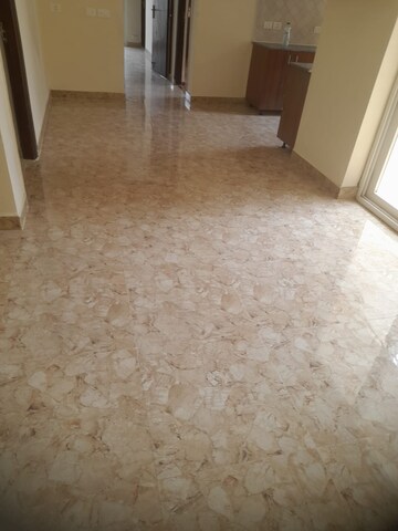 Room in 3 BHK Apartment at Amrapali Centurian Park, Tech Zone 4 Greater Noida – for Rent