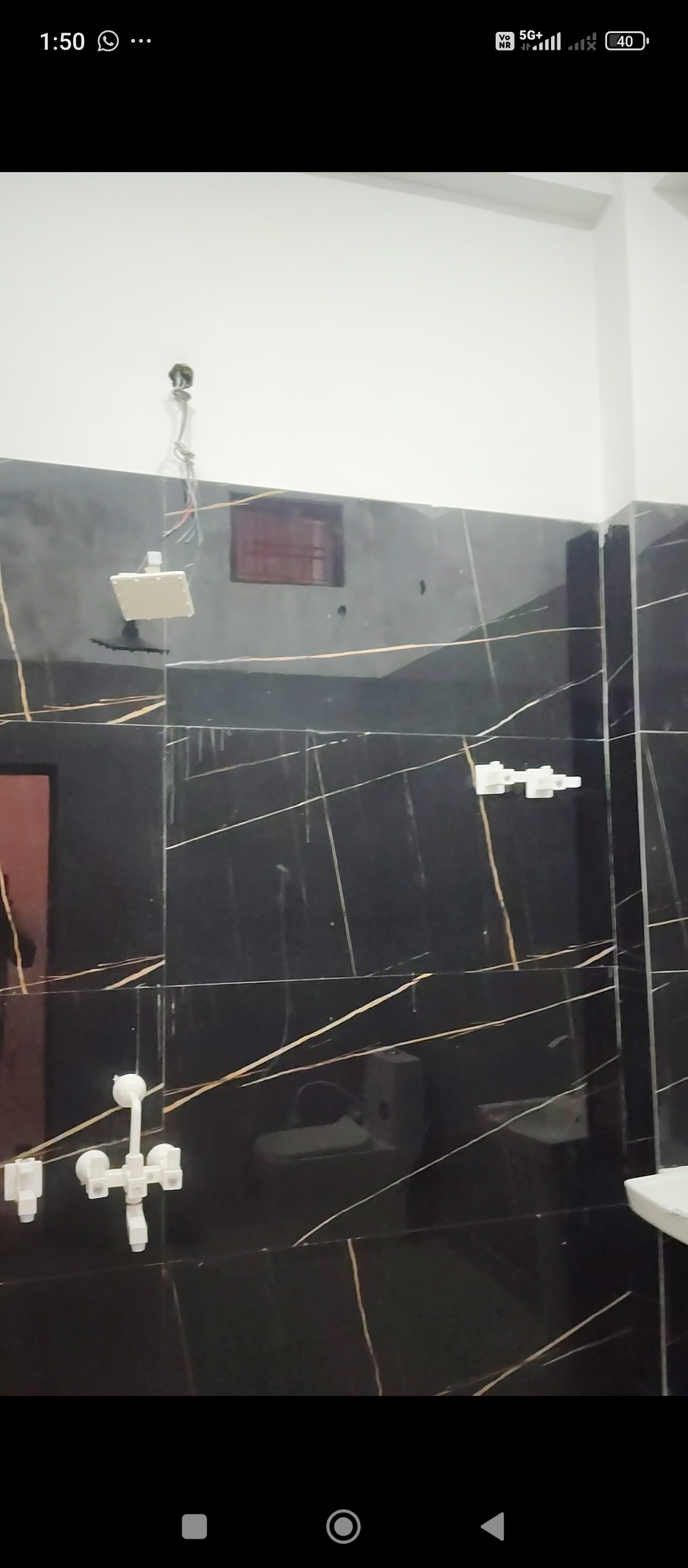 2 BHK + Pooja Room Builder Floor For Rent in Builder Floor