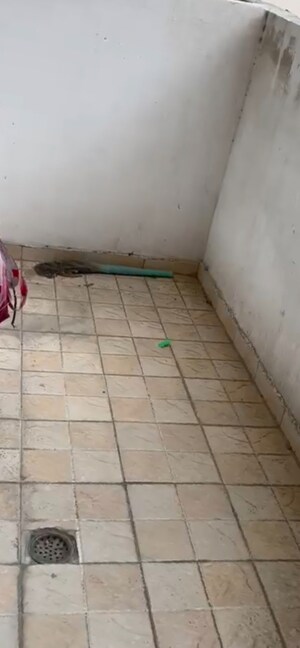  2 BHK Apartment at Fusion Homes, Tech Zone 4 Greater Noida – for Sale