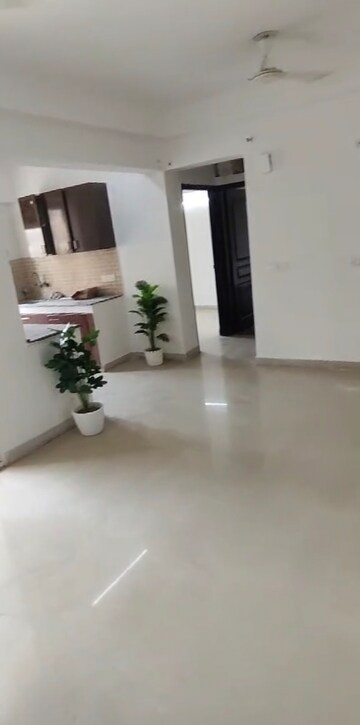 2 BHK Apartment For Rent in Sethi Max Royal, Sector 140a