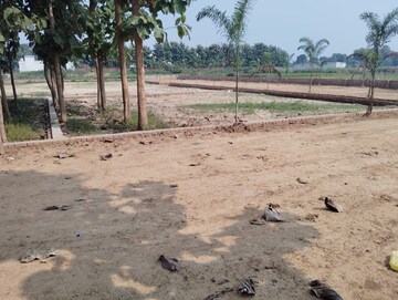 Plot Area in  Plot at Babatpur – for Sale