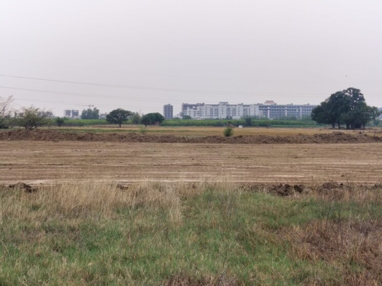 undefined, hlp-palmillas  113 Sq.Ft. Plot In Vip Road Zirakpur 8818668