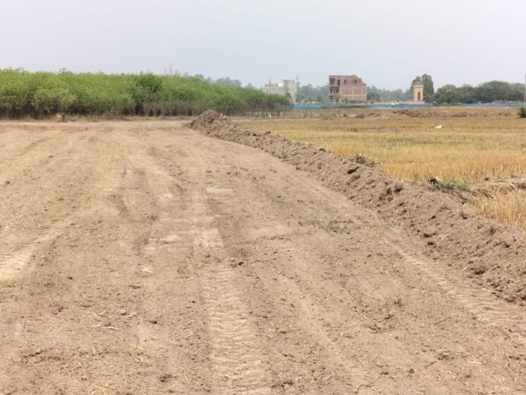 undefined, hlp-palmillas  113 Sq.Ft. Plot In Vip Road Zirakpur 8818668