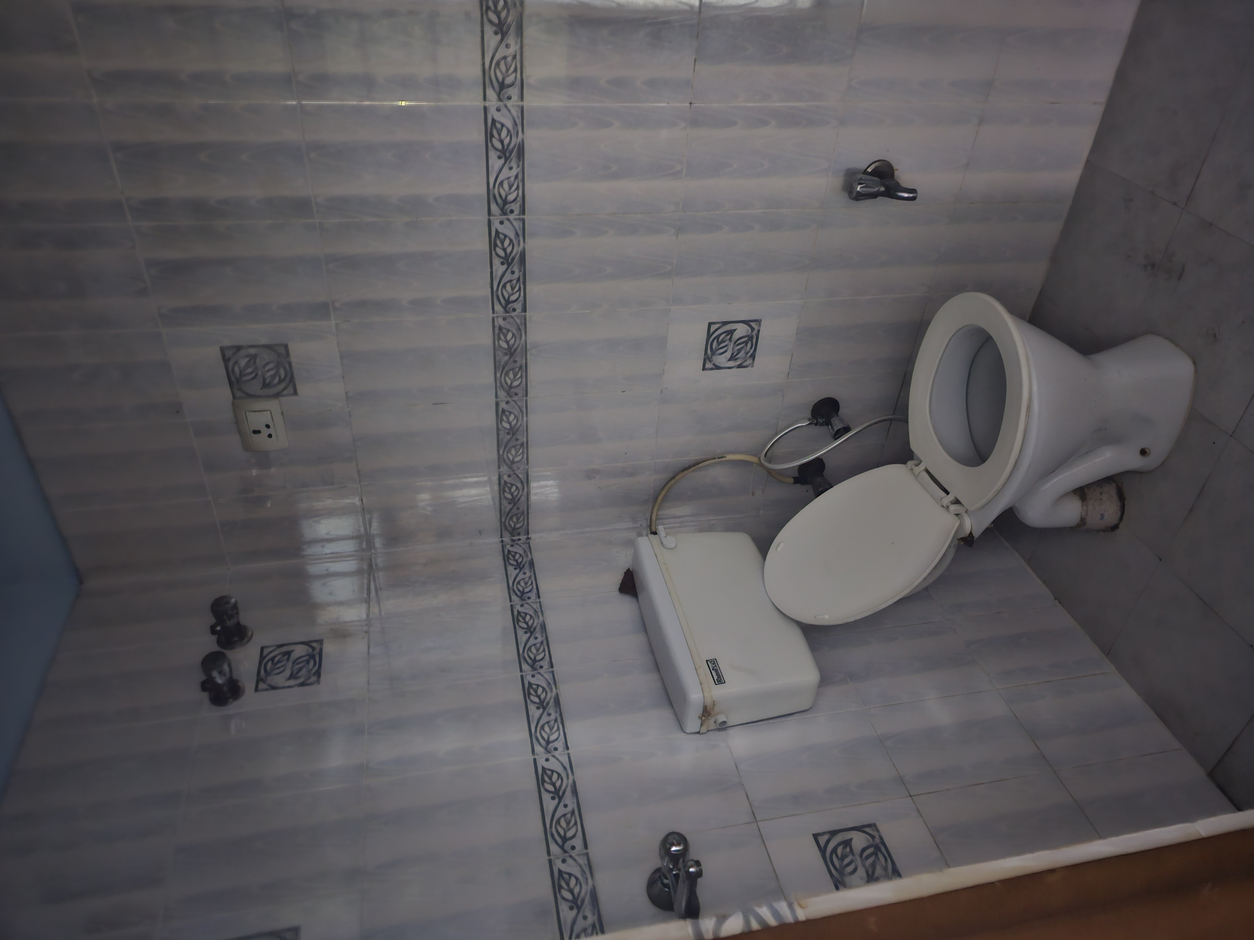 3 BHK + Pooja Room Builder Floor For Rent in Sector 9