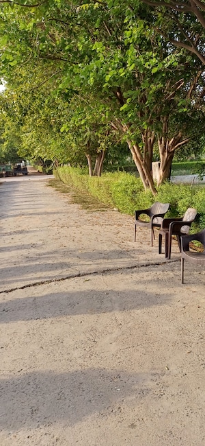  Plot – Exterior View View at Jewar - for Sale