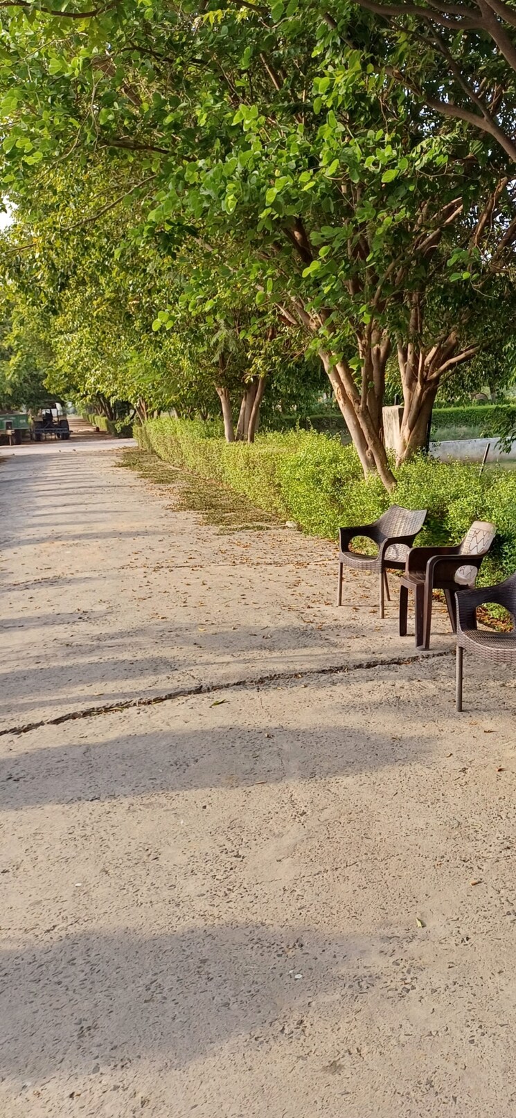 Exterior View, jewar  186 Sq.Yd. Plot In Jewar Greater Noida 8818781