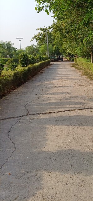  Plot For Sale in Jewar