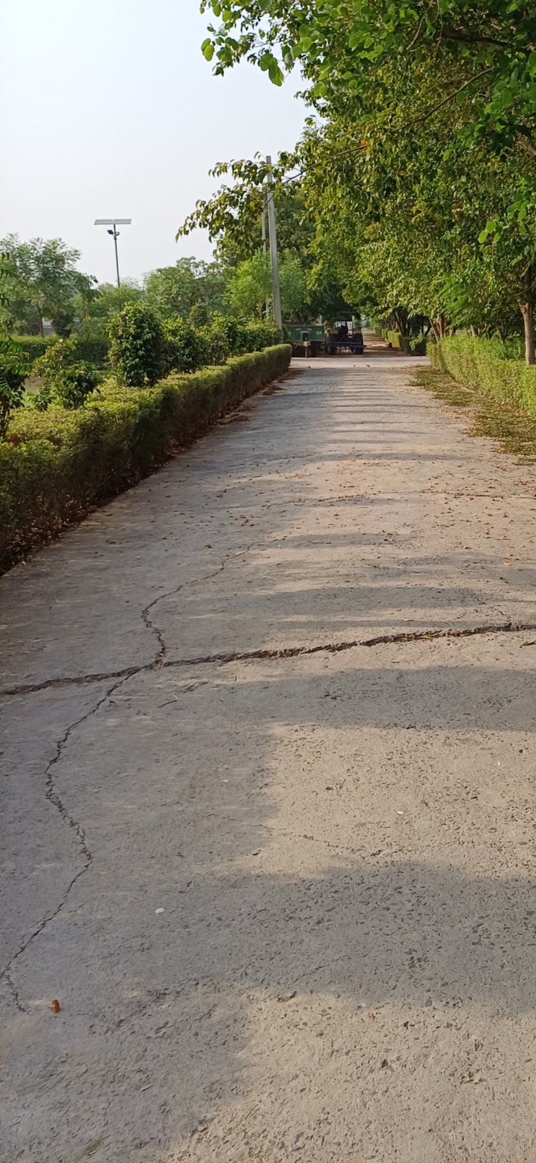 Plot For Sale in Harit City 