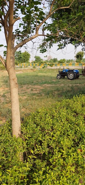 Plot Area in  Plot at Jewar – for Sale