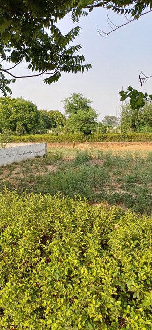 Plot Area in  Plot at Jewar – for Sale