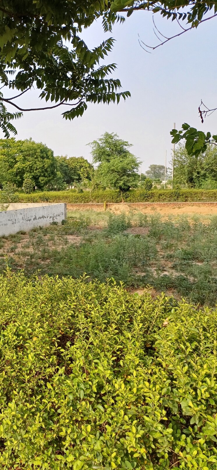 undefined, jewar  186 Sq.Yd. Plot In Jewar Greater Noida 8818781
