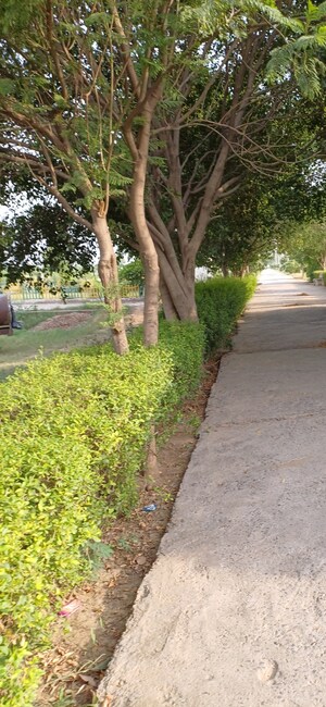  Plot – Garden View at Jewar - for Sale