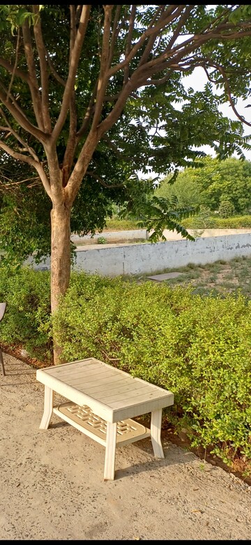  Plot For Sale in Jewar