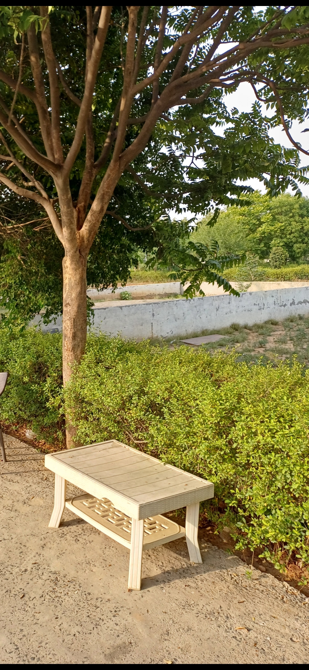 Plot For Sale in Harit City 