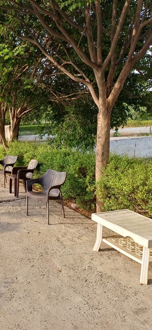 Plot Area in  Plot at Jewar – for Sale