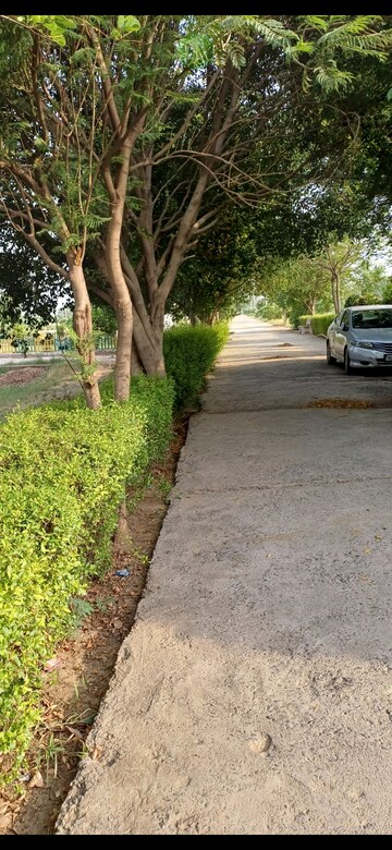  Plot – Exterior View View at Jewar - for Sale
