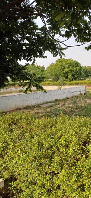 Plot Area in  Plot at Jewar – for Sale