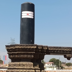  Plot – Exterior View View at Indo Magadha, Kadthal - for Sale