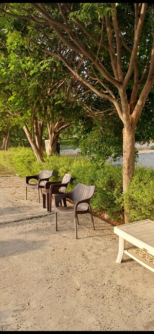  Plot – Exterior View View at Jewar - for Sale