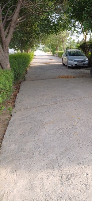  Plot For Sale in Jewar