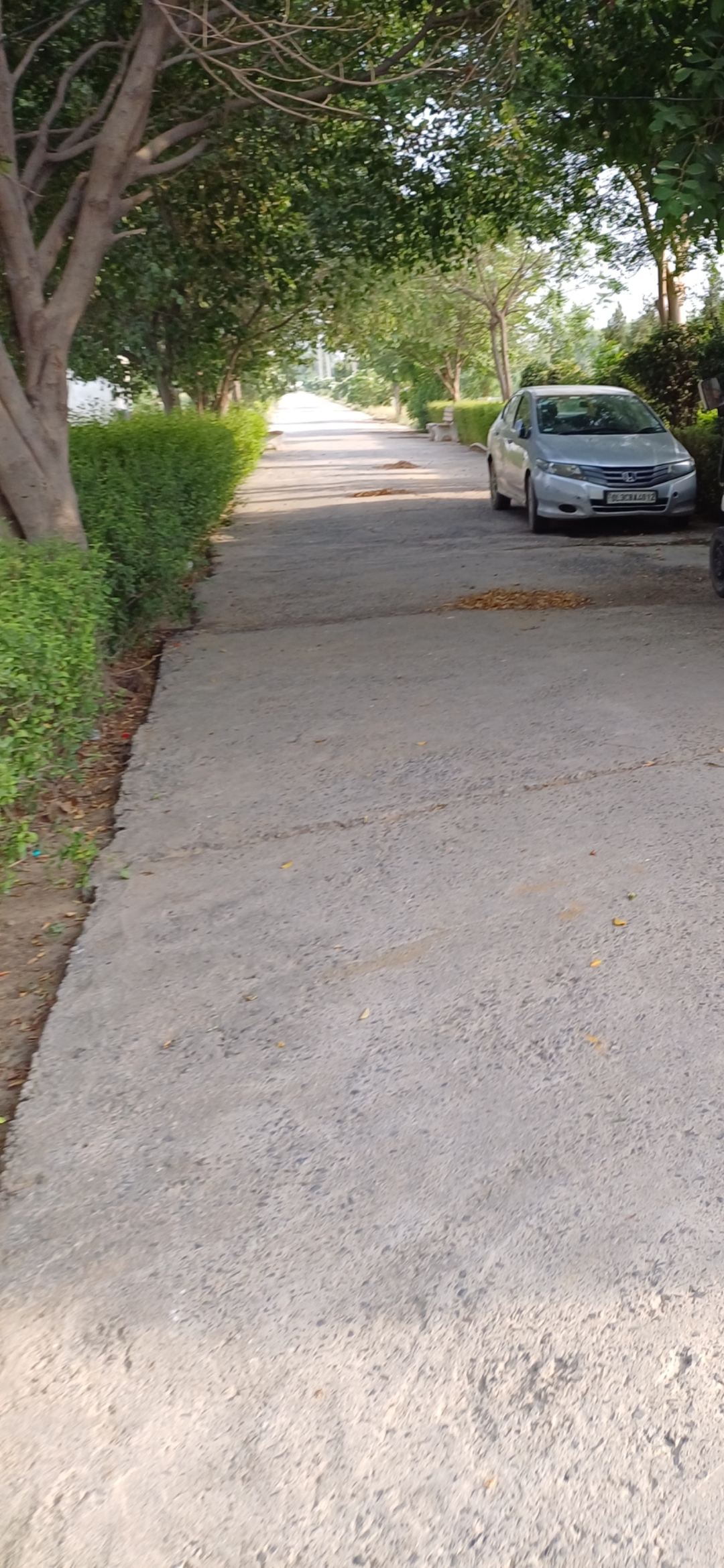 Plot For Sale in Harit City 