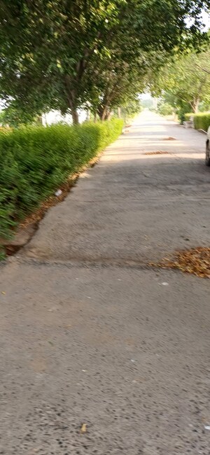  Plot – Garden View at Jewar - for Sale