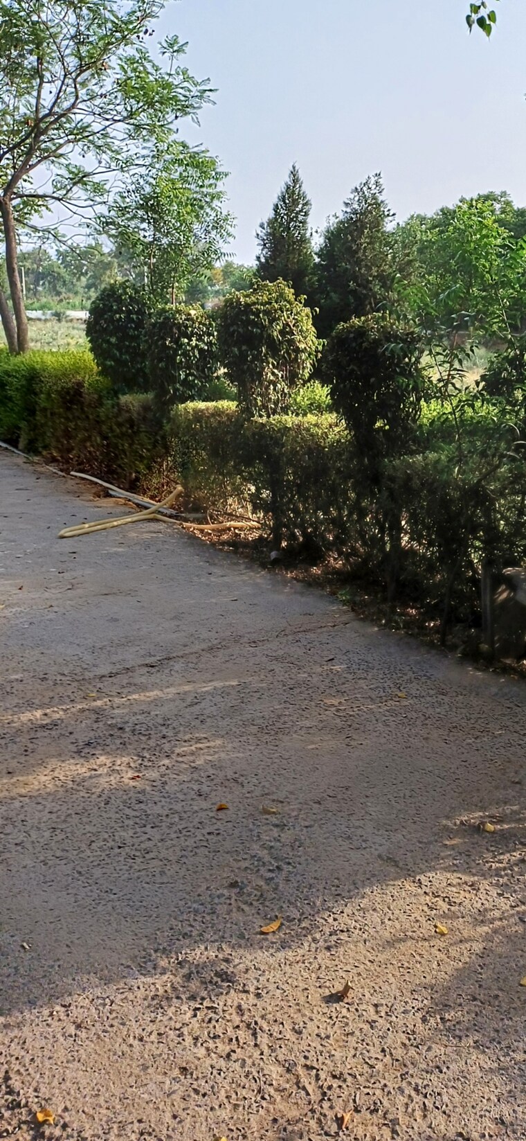 undefined, jewar  189 Sq.Yd. Plot In Jewar Greater Noida 8818834