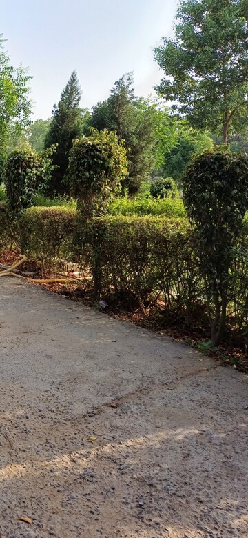 Plot Area in  Plot at Jewar – for Sale